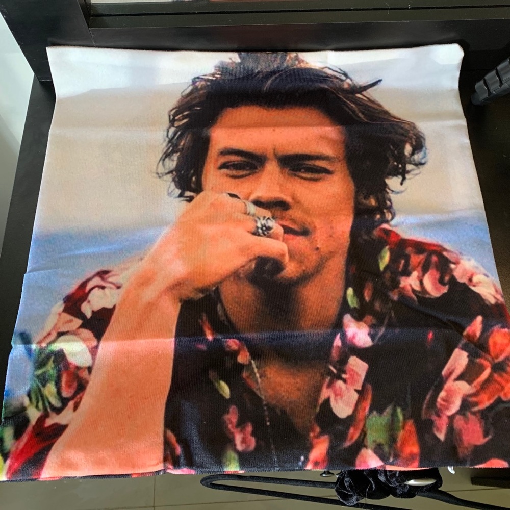 Harry styles pillow case